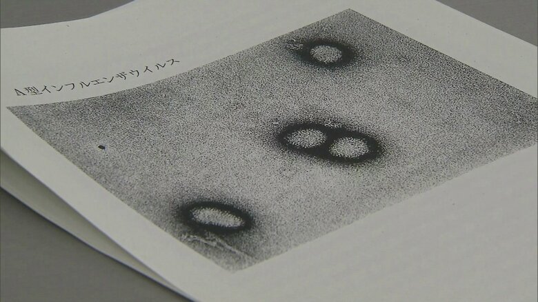 A型インフルエンザウイルス