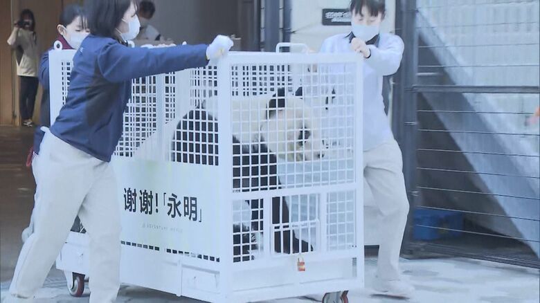 2023年中国へ旅立った「永明」