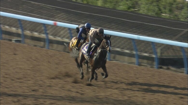 ダノンベルーガの追い切り