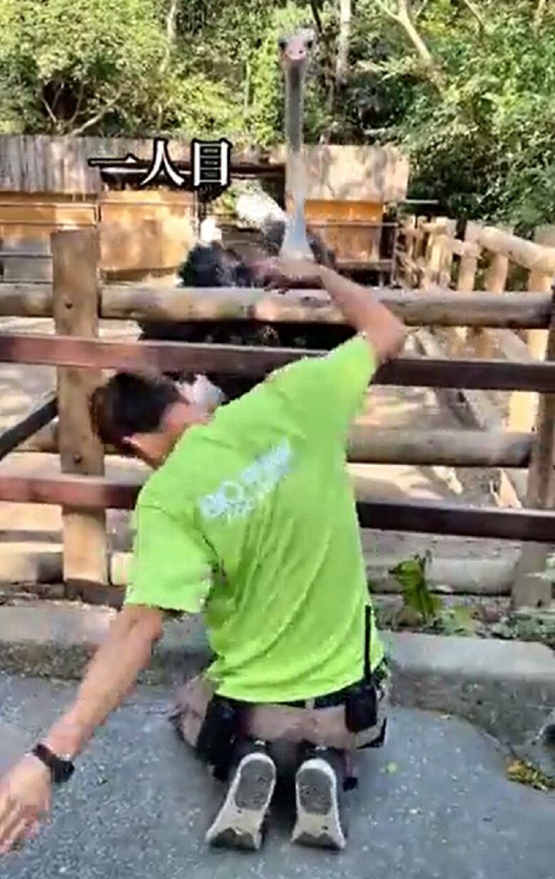 1人目の男性飼育員の踊り