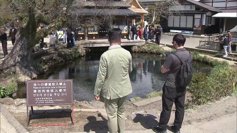 涌池に立つ看板