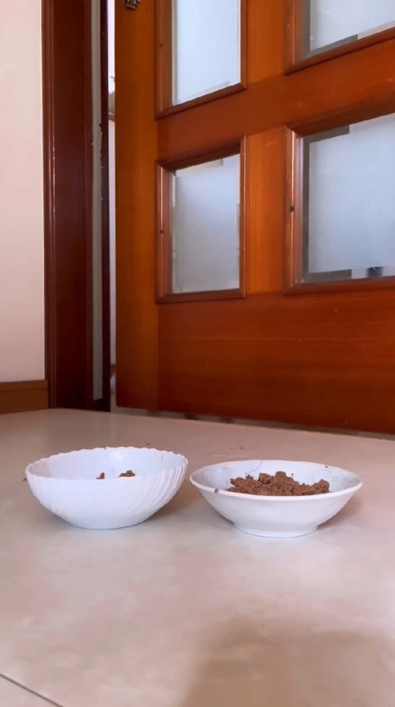 お皿を変更
