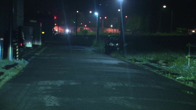 クマとタクシーが衝突