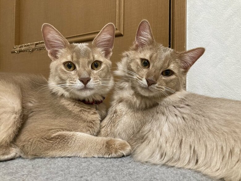 左：颯くん　右：凪くん