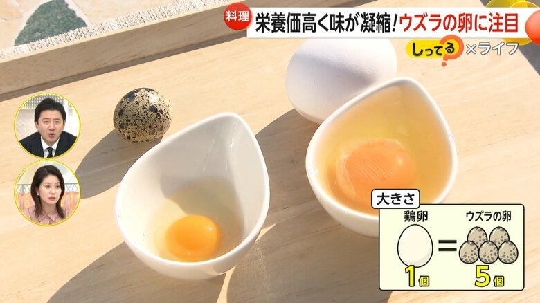 卵5個分で鶏卵1個分の大きさに相当するウズラの卵