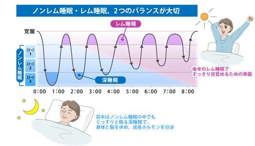 「ノンレム睡眠」と「レム睡眠」のバランスが大切（提供：一般社団法人ウェルネス総合研究所）