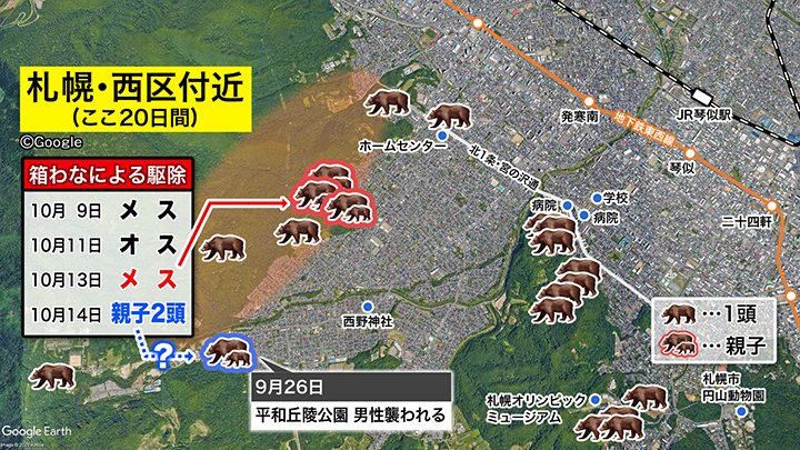 札幌市西区付近ではクマ出没が相次いでいる