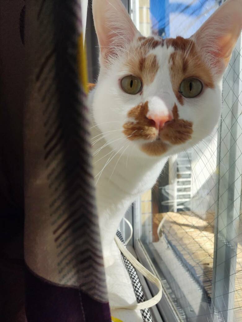 旦那さんに見せる表情（提供：tknさん）