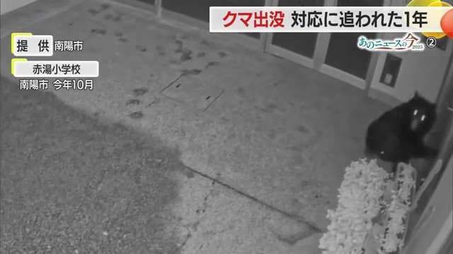 クマはガラスに映った自分の姿に驚いたのか、ガラスに激突して割り、走り去った