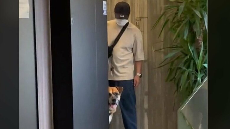 遠目からの動物病院での様子。後ろは旦那さん