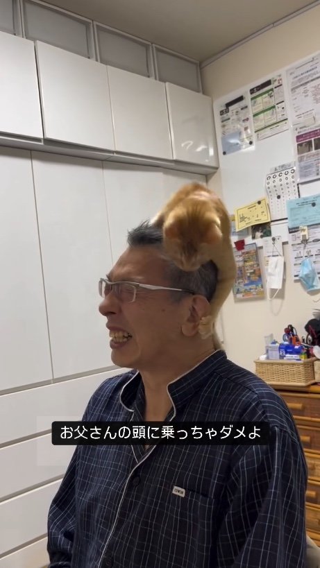 提供：cohakuさん