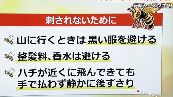 ハチに刺されないための対処法