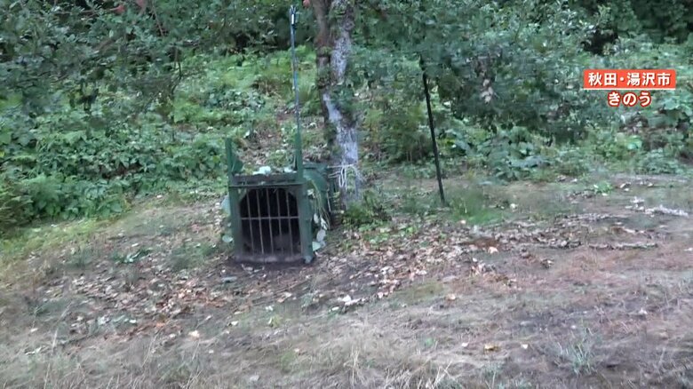 クマを捕獲するためのおり