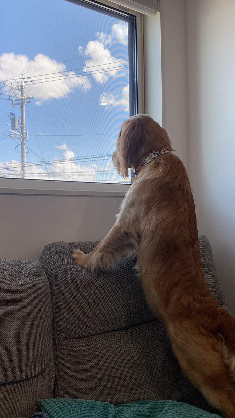 提供：関口和也さん