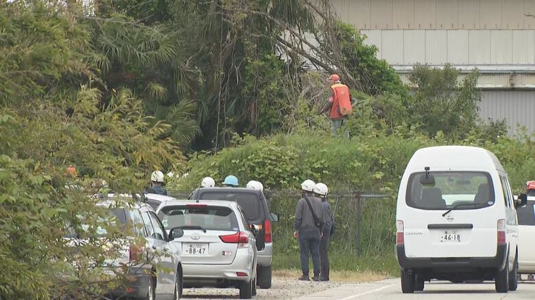 クマが潜んでいた薮の中から発砲音がする（30日午後0時55分頃）