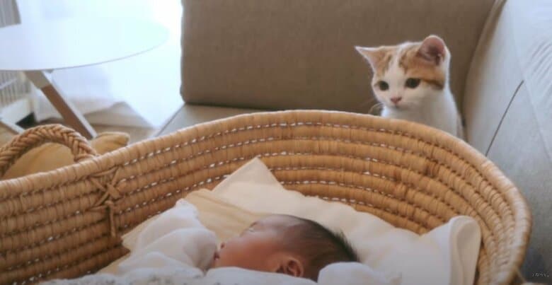 初対面の様子（提供：こなつさん）