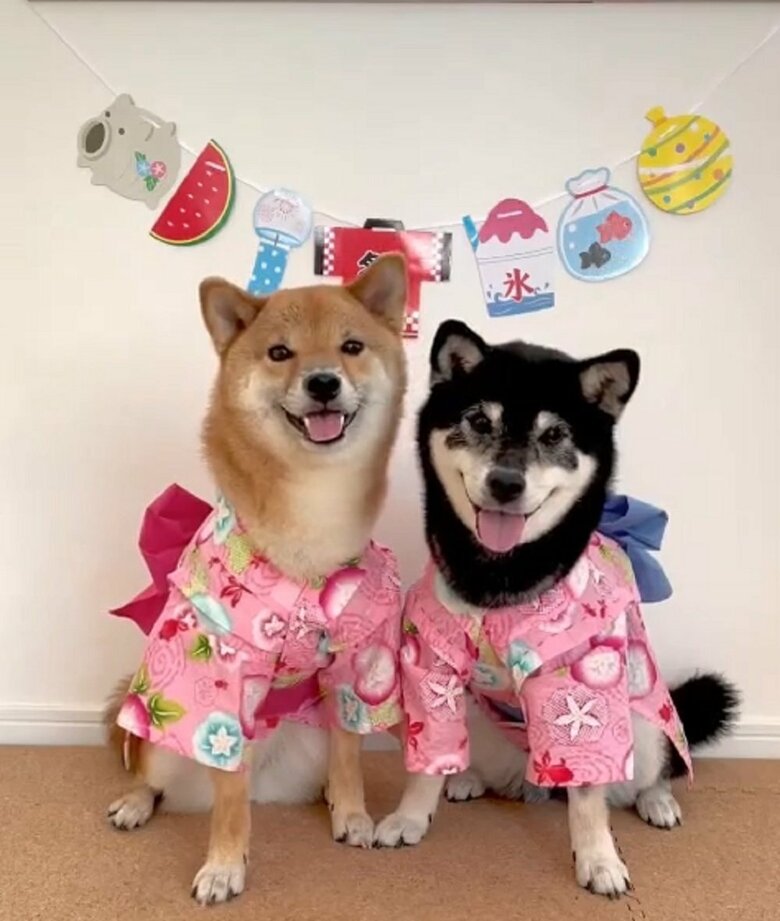 浴衣もお似合い