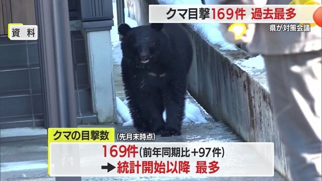 2025年は、統計をとり始めて以降、過去最多のペースでクマが出没・目撃されている