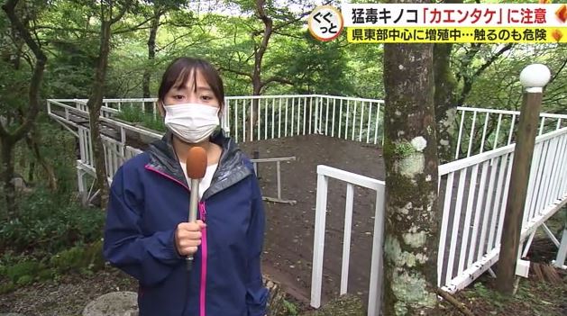 富士山麓の別荘の庭で取材する雨宮記者