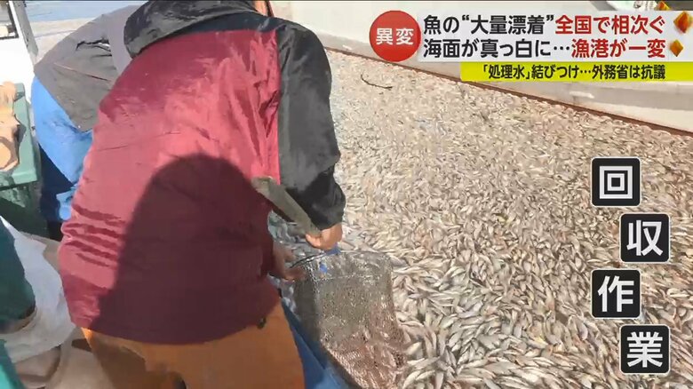 漁師らは回収作業に追われた