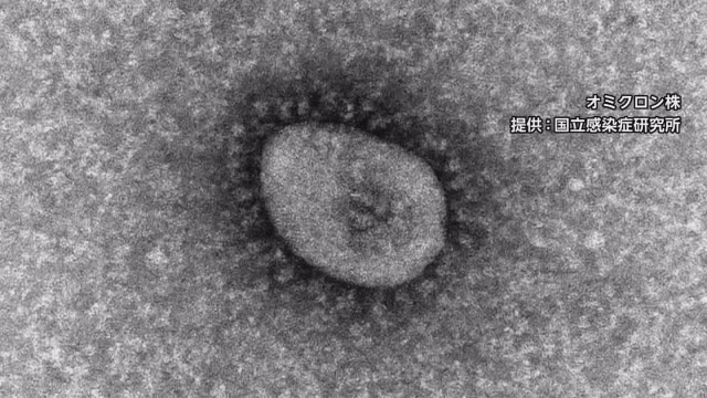 速報 岩手県 新たに３３人感染確認 新型コロナ １月２１日発表