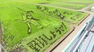大谷翔平が田んぼに降臨　4色の稲で描いた「投球＆バッティング」　鹿児島で15年目の絶景
