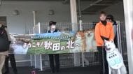 秋田犬の想空、3年連続で観光駅長に　JR大館駅で乗客出迎え、愛らしい姿で観光PR　秋田・大館市