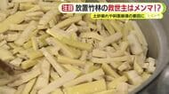 ”竹害”の救世主はメンマ!?　コンセプトは「おいしく食べて竹林整備」　土砂崩れや斜面崩壊の要因にもなり得る放置竹林
