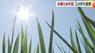 コメ生産に水が必要なのに…使用量を半分に制限　「近年にない」ダム貯水量低下で農業関係者ら苦渋の決断　【福井】