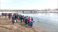 「ふるさとの川でまた会おう」稚魚も児童も旅立ちの春 秋田・大仙市