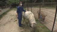 「思わず泣いた…」捨てられた動物保護する動物園 収入ゼロの危機救った秘策とは?