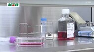 長崎大学などが収束に向け「国産ワクチン」を開発
