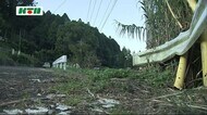 長崎県松浦市で原付バイクと軽トラックが衝突、高齢者1人死亡