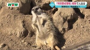 春うらら…佐世保市の動植物園「森きらら」賑わう