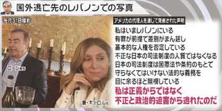 ご ー ん は な に を した の