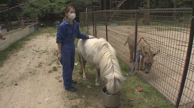 「思わず泣いた…」捨てられた動物保護する動物園 収入ゼロの危機救った秘策とは?