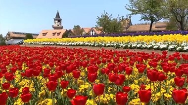 大反響!無人のフラワーパーク特集第2弾…新型コロナで休園中だからこその奇跡の絶景