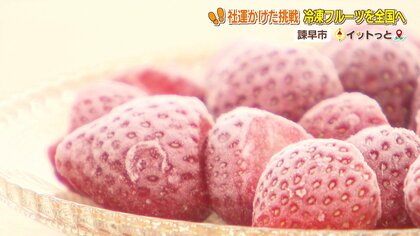 暑くなる時期にピッタリ！冷凍しているのに柔らかい　旬の果物の美味しさを閉じ込めた「冷凍果物」はいかが？