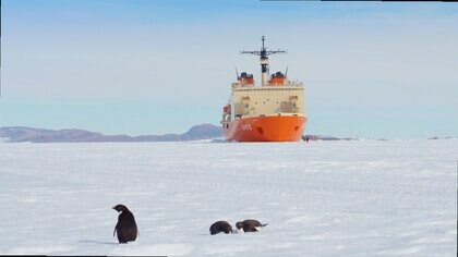 南極観測隊 護美の誓い　全て持ち帰る