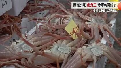安い！うまい！　庶民の味方「水ガニ漁」が解禁　解禁初日は去年より2割高値に　水ガニ含むズワイガニ漁は3月20日まで　福井　