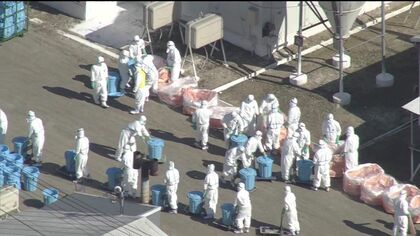 今季全国初 「鳥インフルエンザ」北海道・厚真町の養鶏場で確認 約1万9000羽を殺処分 「エッグショック」再来の心配に鈴木知事は「根拠のないうわさなどで混乱が生じないよう情報提供に努める」