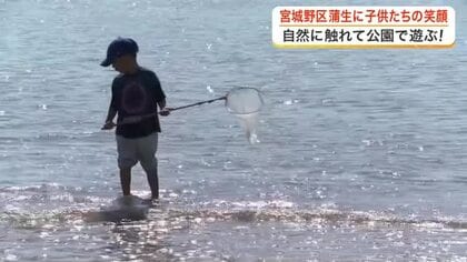 豊かな生態系が残る蒲生干潟で子供たちが生き物観察　被災した小学校跡地の公園でイベント開催〈仙台市〉