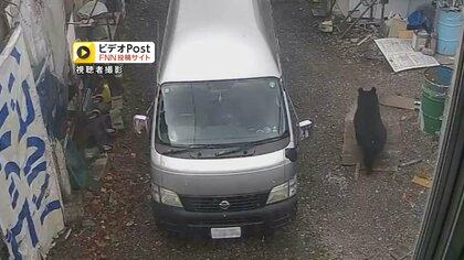 クマが住宅街を徘徊か　防犯カメラにうろつく姿…目撃相次ぐ　盛大附属高校周辺でも　岩手県盛岡市