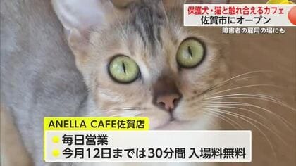 保護犬や保護猫と触れ合えるカフェオープン 就労継続支援で障害あるスタッフも働く【佐賀県】