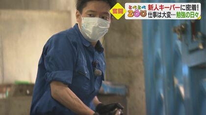 営業マンから転職…とべ動物園の新人飼育員　“動きっぱなしの1日に密着【愛媛発】