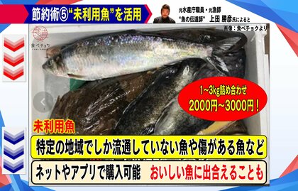 解説】「魚」にも価格高騰の波…家計を助ける“節約術”を伝授！ 値引きシールに隠された“ヒミツ”｜FNNプライムオンライン