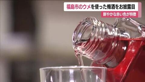 福島市特産のウメで作った梅酒の新酒がお披露目　作り手も驚きの鮮やかな色　甘みと酸味のバランスも良く