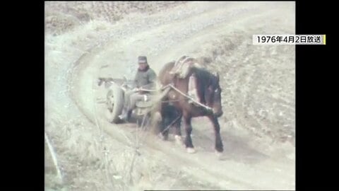 木材運搬にウマが活躍　福島・古殿町に残る「馬搬」　消えかけた文化を後世に伝える男性　新たな相棒「トヨシゲ」を迎え次なる一歩へ　　