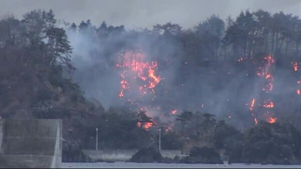 【速報】大船渡の山火事の避難者が3770人に…避難所が1202人でそれ以外の避難者が2568人【速報】大船渡の山火事の避難者が3770人に…避難所が1202人でそれ以外の避難者が2568人
