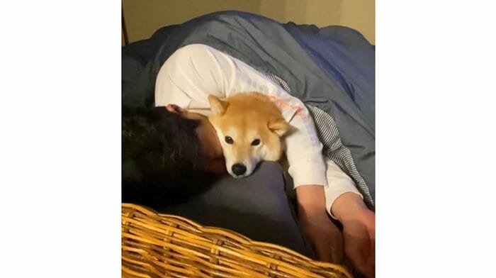 おやすみ前の“ふたり”